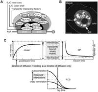FIGURE 1.
