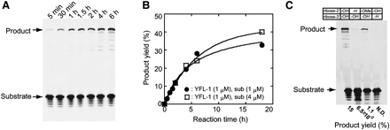 FIGURE 3.