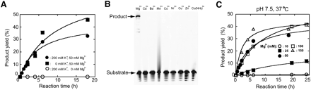 FIGURE 4.