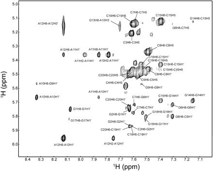 FIGURE 3.