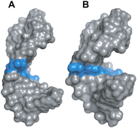 FIGURE 9.