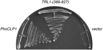 FIGURE 10.