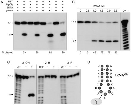 FIGURE 2.