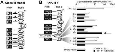 FIGURE 10.