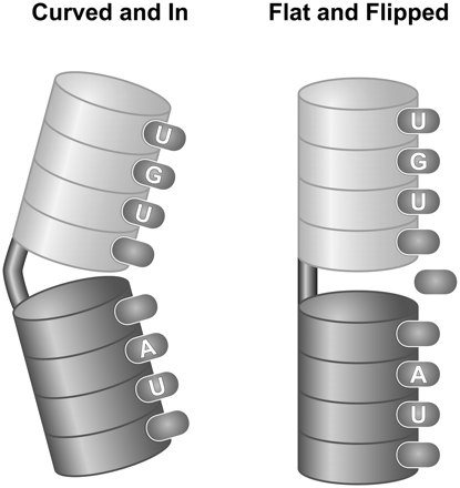 FIGURE 11.