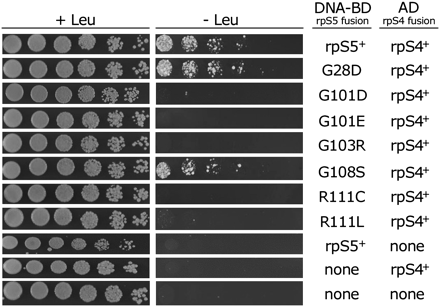 FIGURE 3.