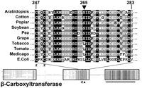 FIGURE 9.