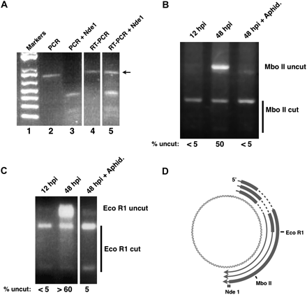 FIGURE 3.