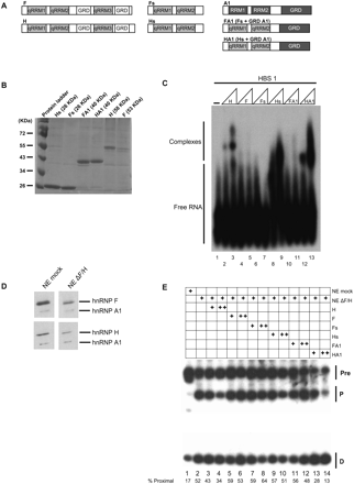 FIGURE 4.