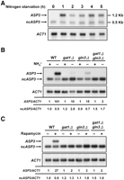 FIGURE 1.