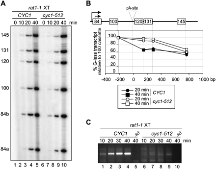 FIGURE 4.