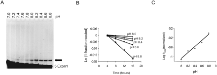 FIGURE 7.