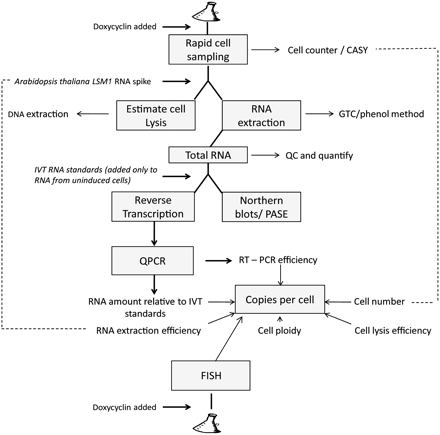 FIGURE 2.
