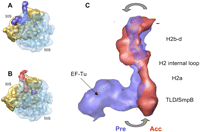 FIGURE 4.