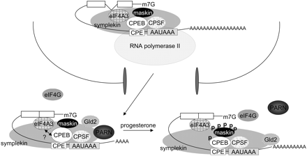 FIGURE 9.