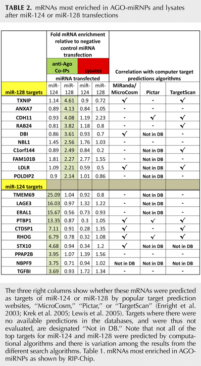 TABLE 2.