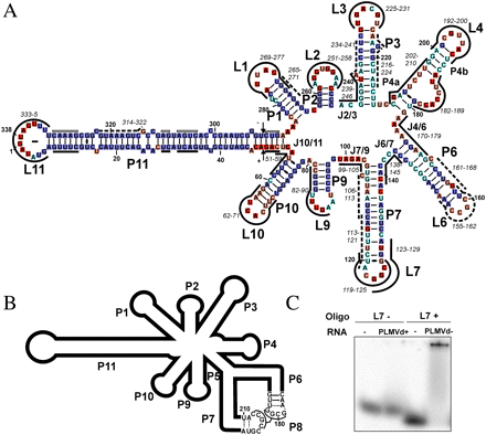 FIGURE 3.