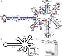 FIGURE 3.