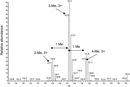 FIGURE 10.