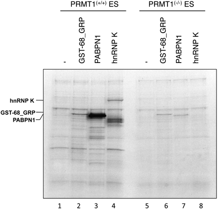 FIGURE 4.