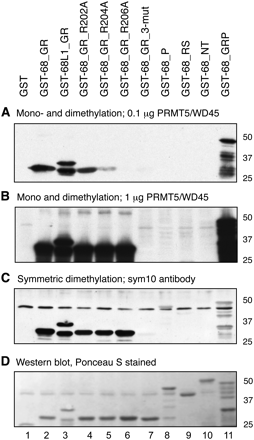 FIGURE 7.