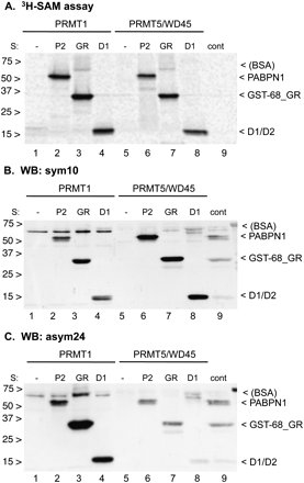 FIGURE 9.