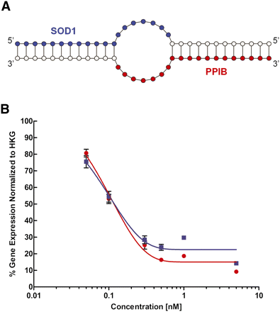 FIGURE 4.