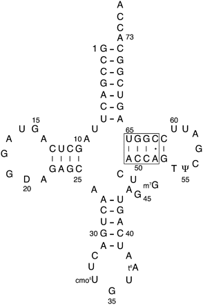 FIGURE 1.