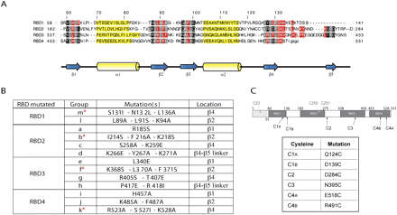 FIGURE 1.
