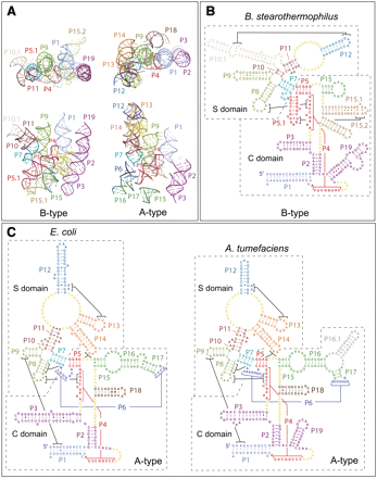 FIGURE 1.