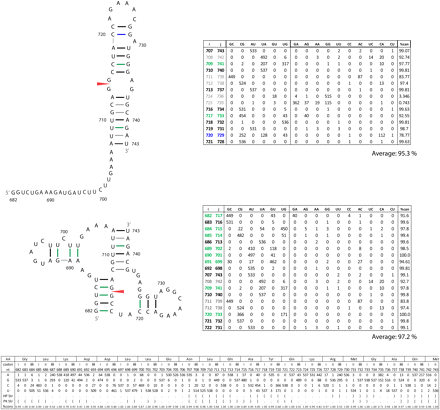 FIGURE 10.