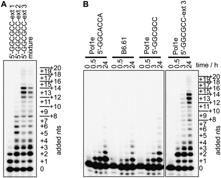 FIGURE 7.