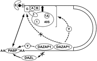 FIGURE 10.