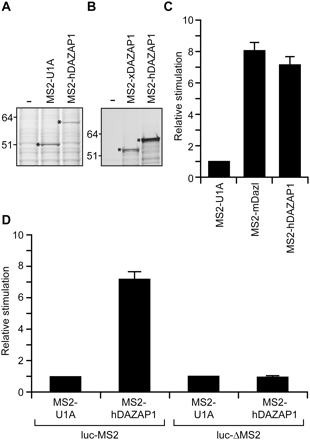 FIGURE 4.