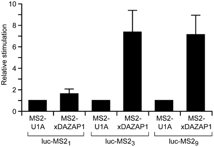 FIGURE 6.