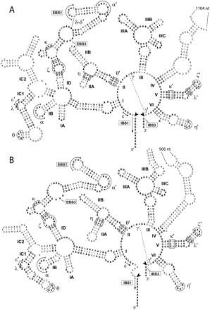 FIGURE 2.