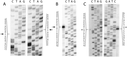 FIGURE 4.