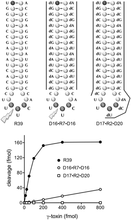 FIGURE 4.