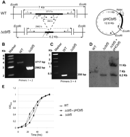 FIGURE 1.