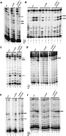 FIGURE 2.