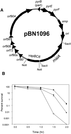 FIGURE 3.