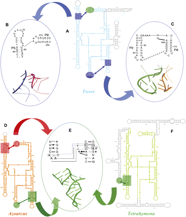 FIGURE 6.