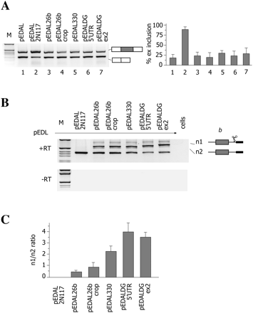FIGURE 5.