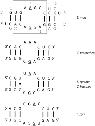 FIGURE 1.