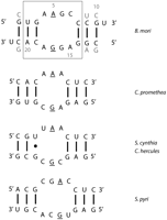 FIGURE 1.