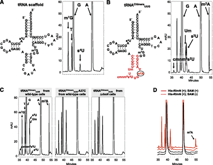 FIGURE 4.
