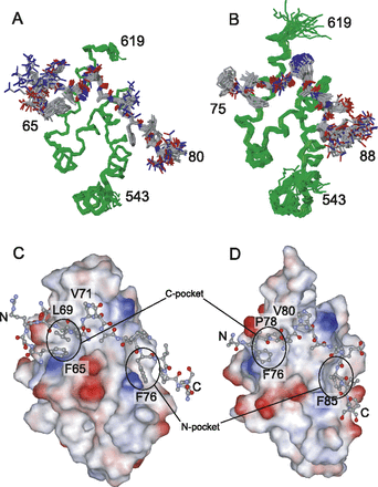 FIGURE 6.