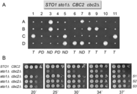 FIGURE 3.