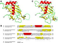 FIGURE 1.