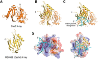FIGURE 4.